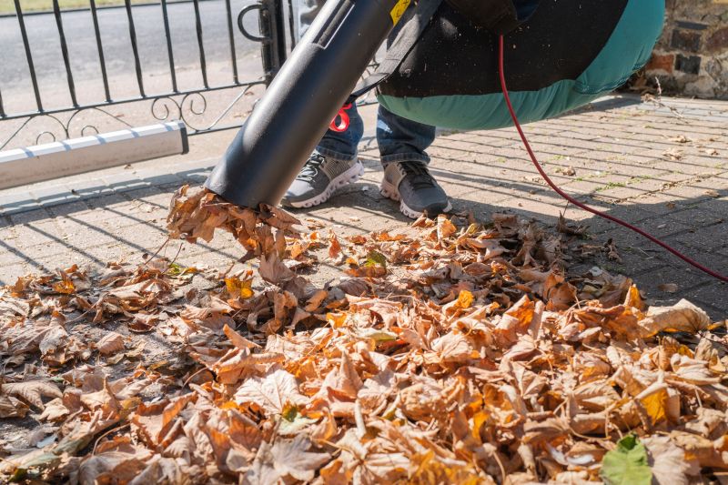 Lawn with Mulched Leaves