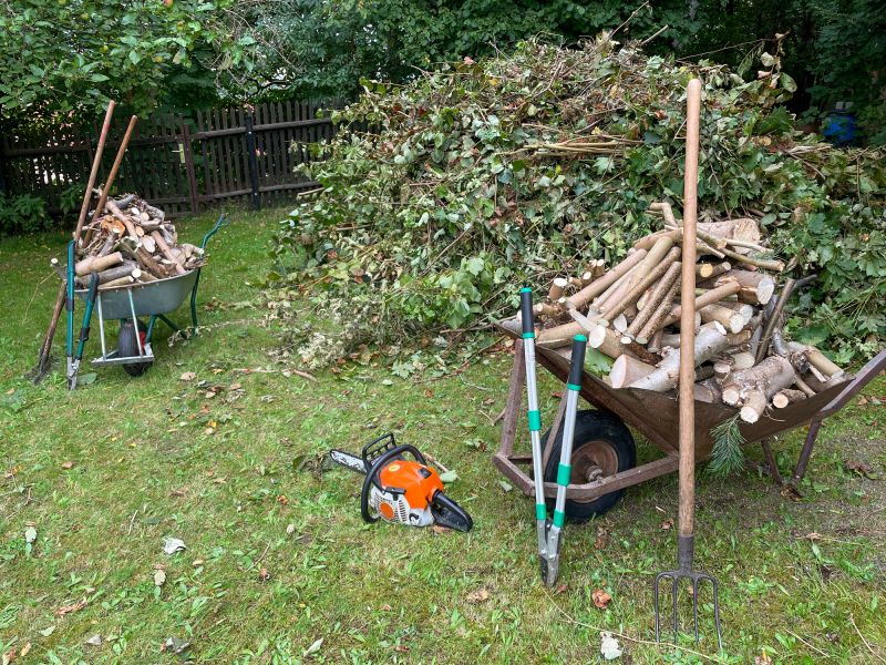 Removing Debris from the Yard