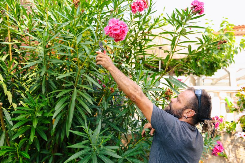 How To Tell When Your Shrubs Need Professional Care