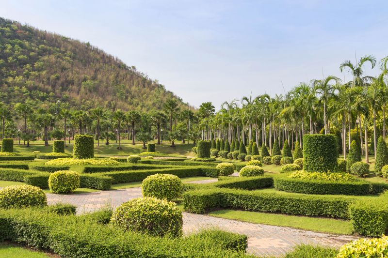 Detailing Shrubs for Design